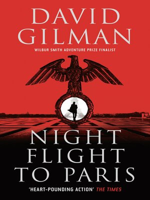 Night Flight to Paris - ebook